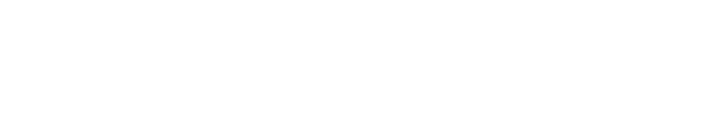 Institute for Security and Analysis